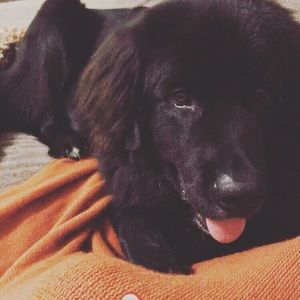 Meet your Posher, Candice